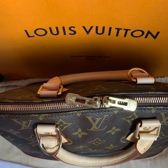 Authentic Louis Vuitton Alma PM - Picture 10 of 13